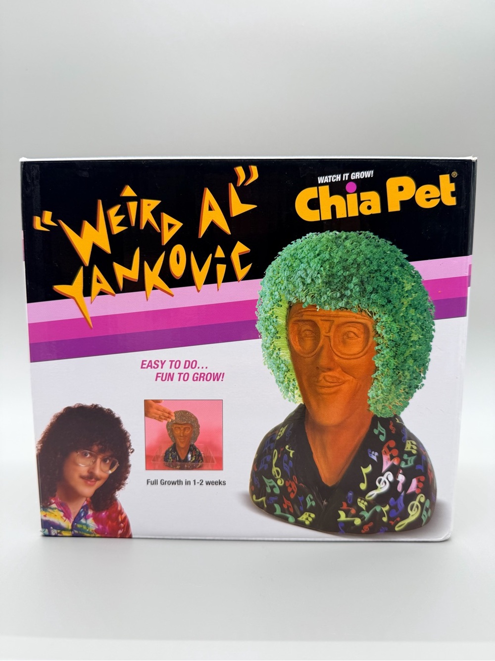 NIB "Weird Al" Yankovic Chia Pet Planter Bust Pottery Complete 2020 Pop Culture